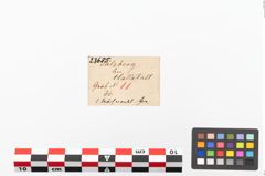Etiketten zu Bronzenähnadel (NHMW-PRAE-023685)